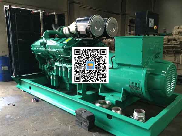 大通发电机出租-发电机大修后应作哪些试验